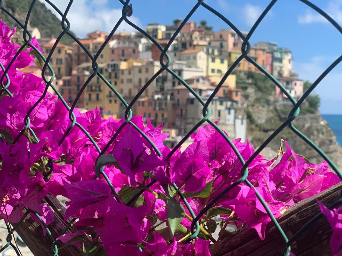 Affittacamere San Giorgio Manarola Ngoại thất bức ảnh